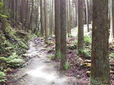 一刀石 「鬼滅の刃」で聖地化